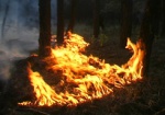 Спасатели предупреждают об угрозе возникновения масштабных пожаров
