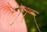 С начала года в Харькове два человека заболели малярией