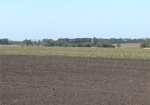 Нововведения от Минагрополитки. В Украине отменяется продажа сельхозземель