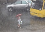В Харькове еще несколько дней будет лить дождь