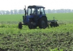 Право на землю. В Украине намерены запретить продажу сельхозземель и передать их государству