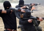 Силы АТО уполномочили уничтожать вооруженные формирования террористов