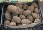 Россия отказывается от украинского картофеля