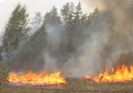 В Харьковской области стало меньше лесных пожаров