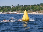 Харьковчане выиграли четыре дистанции на Кубке Украины по плаванию на открытой воде в Одессе