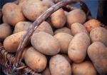 С сегодняшнего дня РФ запретила импорт украинского картофеля
