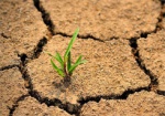 Сегодня - День борьбы с опустыниванием и засухой