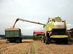 На Харьковщине планируют собрать 2,2 млн.тонн ранних зерновых и зернобобовых культур