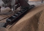 Элеваторы Харьковской области бесплатно примут зерно из Донбасса