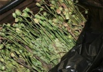 Правоохранители нашли почти килограмм наркотиков у жителя Харьковщины