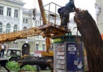 Стихия в Харькове повалила 25 деревьев
