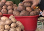 Беларусь ограничит покупки украинского картофеля
