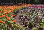 В Харькове пройдет выставка цветов