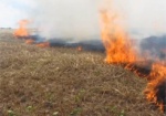Тысячи гектаров сгоревших полей. Аграрии Донбасса просят правительство компенсировать ущерб от боевых действий