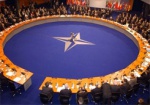 Порошенко примет участие в саммите НАТО, который почти полностью посвящен ситуации в Украине