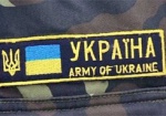 Геращенко: В боях под Иловайском пропали более 80 украинских военных