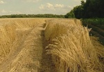 Аграриям Харьковщины погашают задолженность по дотациям за 2013 год