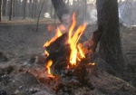 За выходные на Харьковщине произошло 35 пожаров