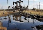 На Харьковщине обнаружили новые залежи нефти
