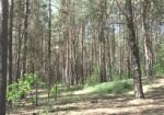Харьковщина пополнила госказну на 9 миллионов за счет вырубки леса