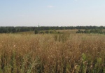 В Красноградском районе пытались приватизировать государственную землю