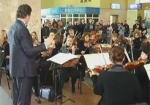 Вокзальные симфонии. Оркестр «Виртуозы Слобожанщины» дал концерт для сбора помощи переселенцам