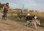 В Харькове пройдут соревнования на собачьих упряжках