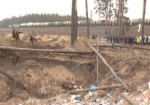 Бесхозная древесина - в пользу военных. На Харьковщине лесхоз отказался делиться дровами