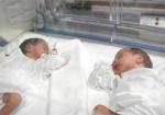 За минувшие сутки в Харькове родились три двойни