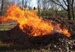 За месяц харьковчанам выписали 30 предписаний за сжигание листвы