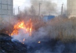 На Харьковщине за сутки больше 20 раз горела сухая трава
