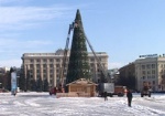 Монтировать новогоднюю елку на площади начнут 20 ноября
