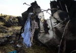 Генерал ВСУ, которого подозревают в гибели экипажа Ил-76, своей вины не признает