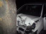 ДТП в Червонозаводском районе: иномарка въехала в дерево, есть жертвы