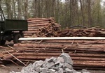 Чиновники нелегально отдали под застройку лес в Харьковской области