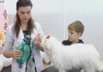 Из детского сада – в академию. Ветеринары обучают детей азам первой помощи и ухода за животными