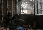 Пресс-центр АТО: В районе Донецкого аэропорта огонь прекращен