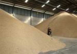 За 6 месяцев Украина экспортировала почти 20 миллионов тонн зерна