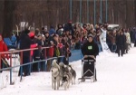 «Три круга зимнего ада». В Харькове прошли гонки на собачьих упряжках