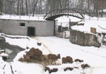 Харьковский зоопарк получит 17 миллионов гривен из городского бюджета