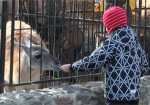 Экзотические животные голодают. Зоопарк просит неравнодушных харьковчан помочь прокормить питомцев