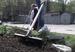 Всеукраинская акция по благоустройству «За чисте довкілля» начнется 21 марта