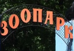 Бесплатное посещение зоопарка и концерты. В Харькове готовятся к празднику 8 Марта