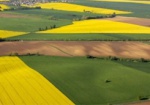 В Украине упростили процедуру согласования проекта землеустройства