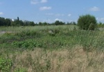 Участникам АТО выделили почти 70 гектаров земель на Харьковщине