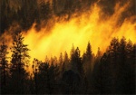 Сезон пожароопасности. С начала года на Харьковщине огонь уничтожил 10 гектаров леса
