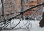 Харьковские коммунальщики вышли убирать снег и упавшие деревья