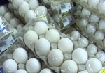 ХОГА: Оптовая цена на яйца составляет 11 гривен за десяток