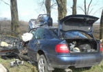 ДТП в Кегичевском районе: Иномарка врезалась в дерево - водитель погиб