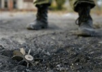 Лысенко: Боевики в зоне АТО готовят провокации на Пасху